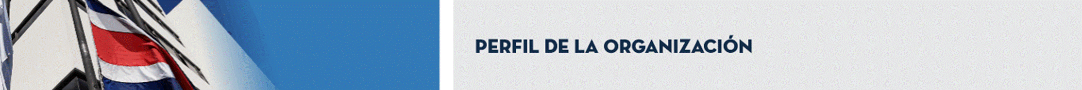 Título: Perfil de la Organización.